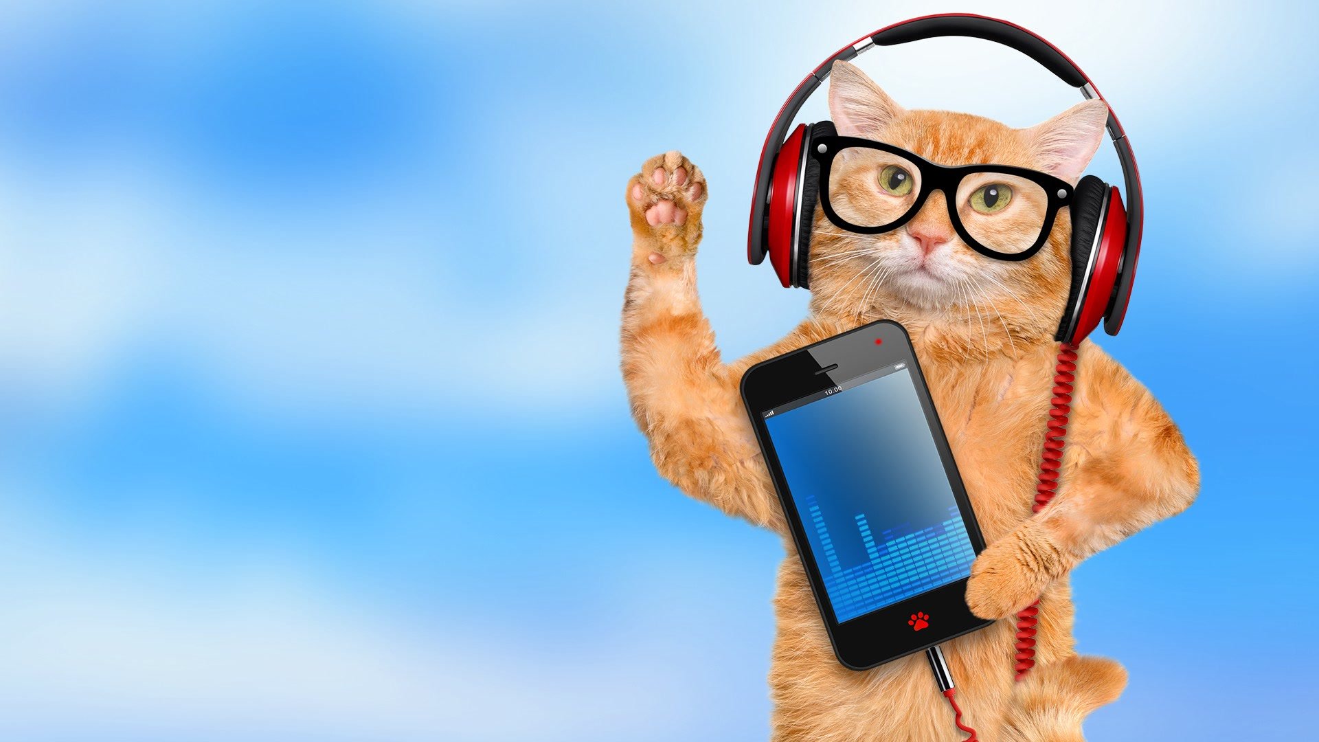 Cat wearing headphones