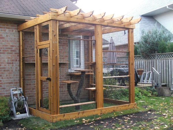 outdoor cat enclosure with window access