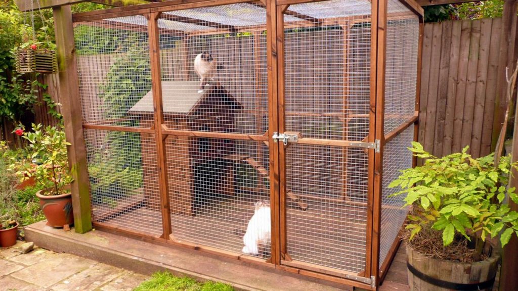 Safety Outdoors Cat Enclosures And Cages Purrfect Love 