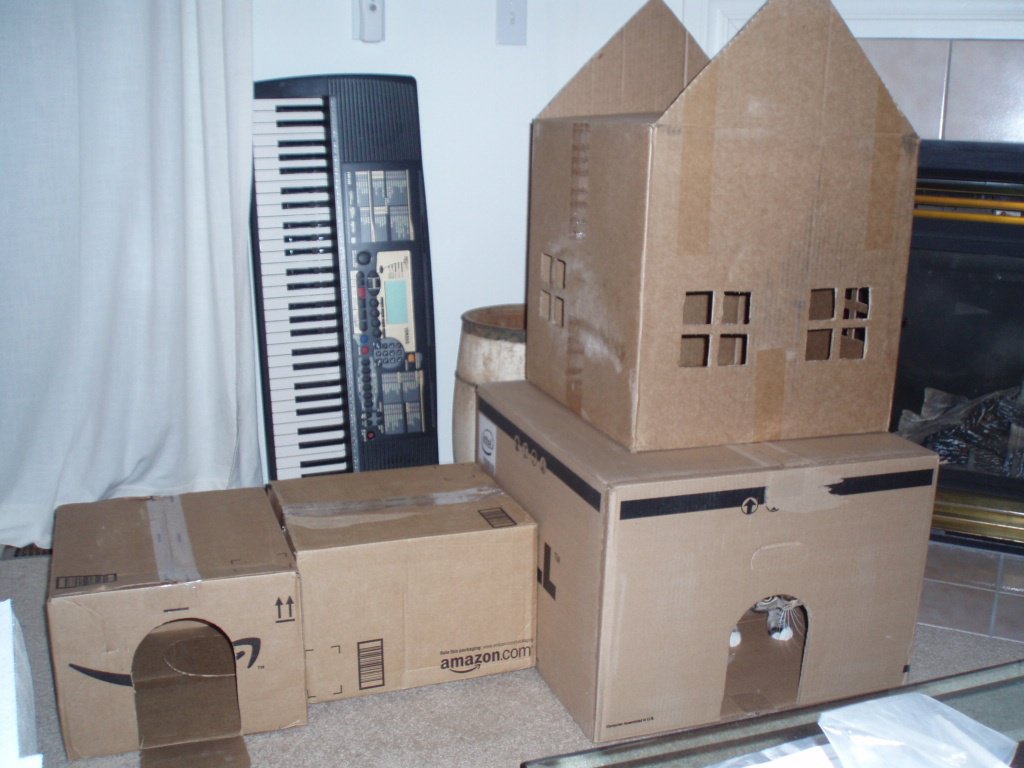 Amazon Cat House