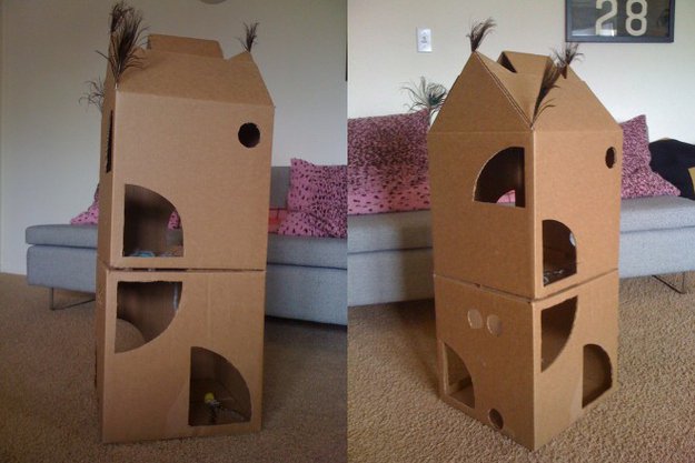 Peekaboo cardboard house