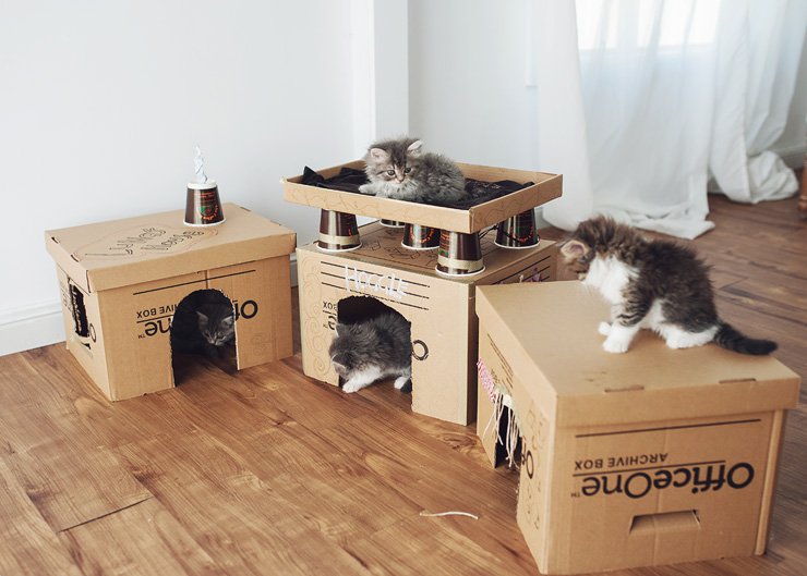 diy cardboard box homes and towers for cats - purrfect love