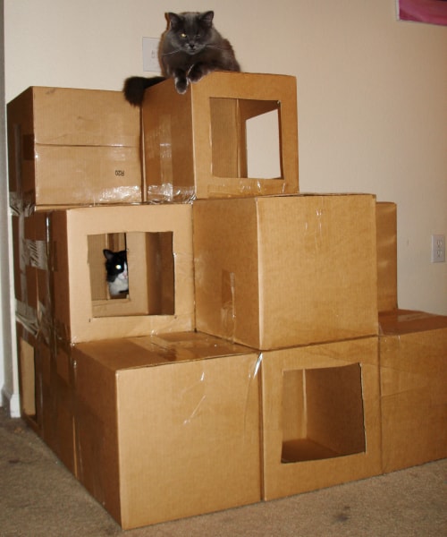 Cardboard box hotsell cat house diy