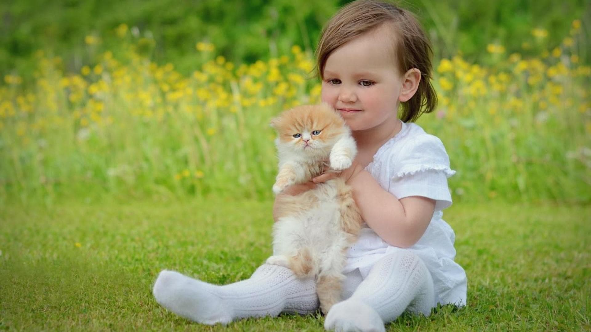 Cat with child