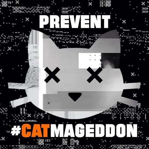 catmageddon