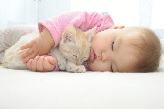 Baby and kitten