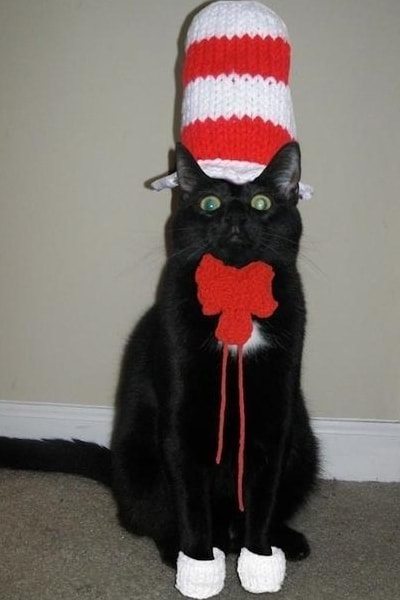 Cat in the Hat Cat