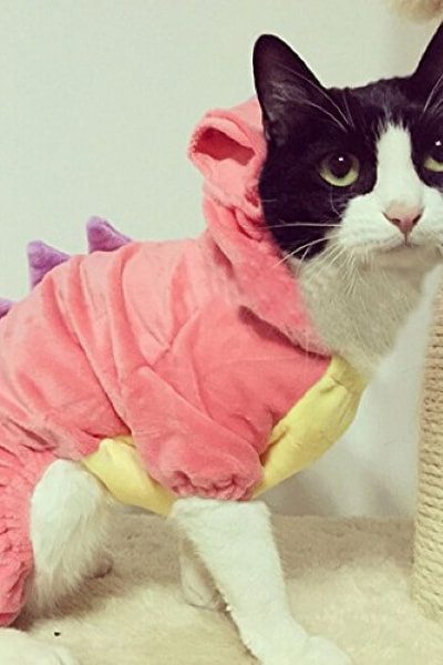 Pink Dinosaur Cat