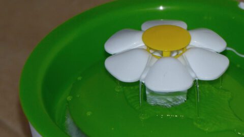 Catit Flower Fountain Review