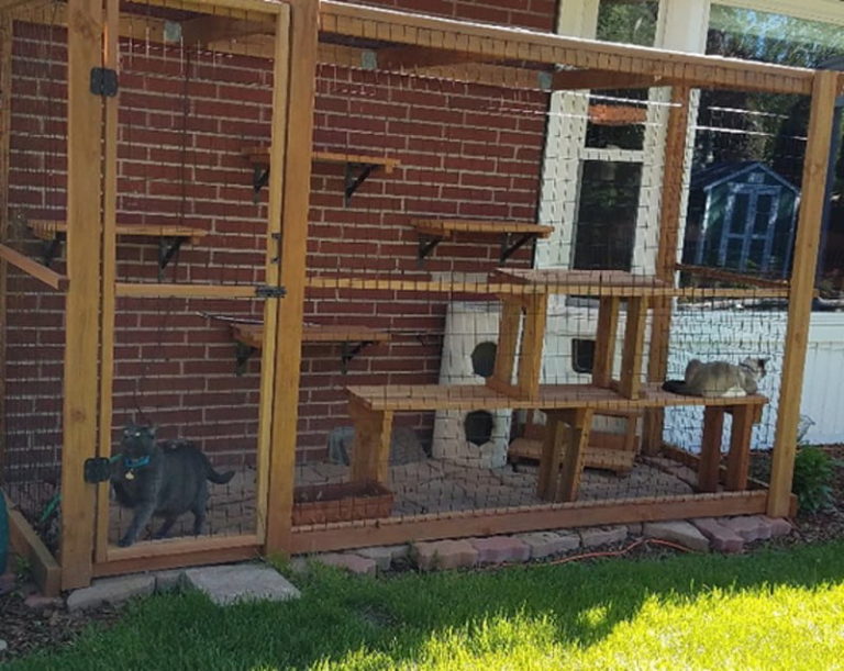 Catios Cat Enclosures Purrfect Love
