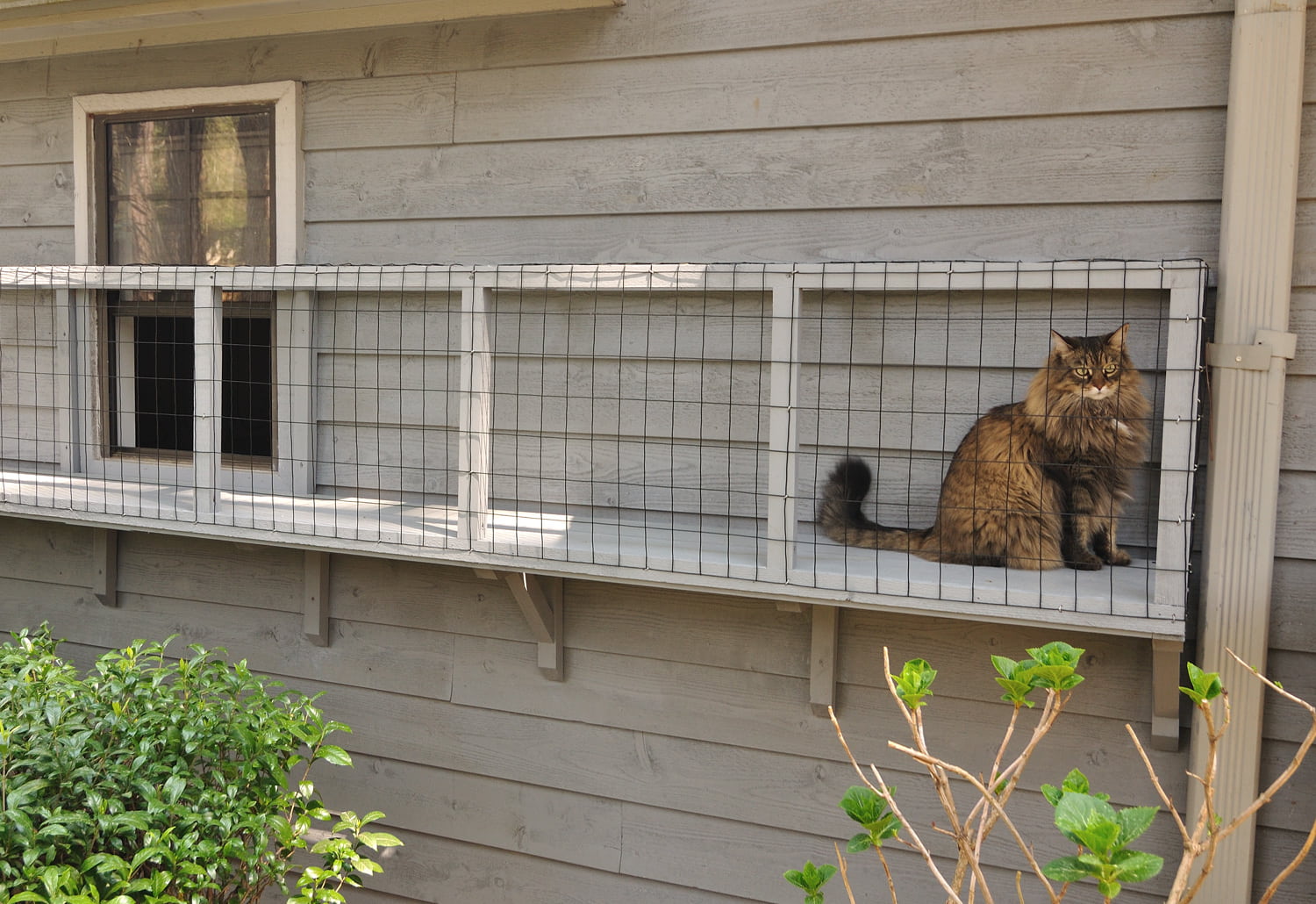 Catio Ideas Purrfect Love