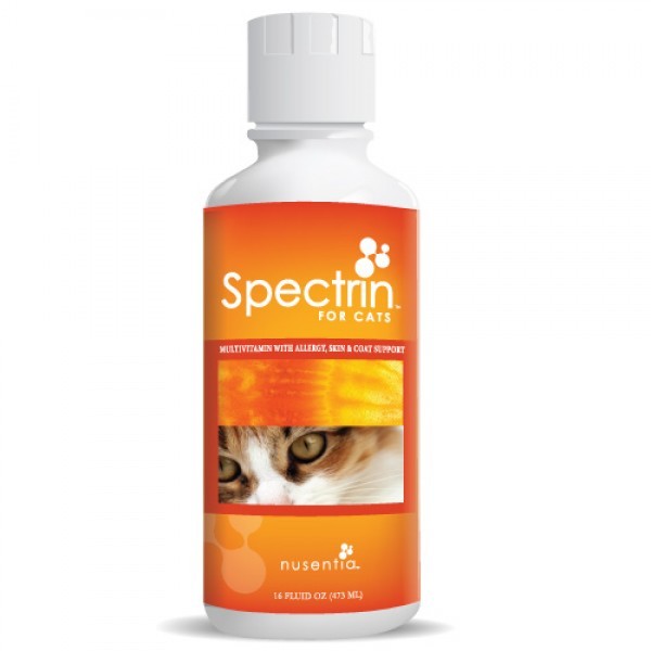 Spectrin for cats