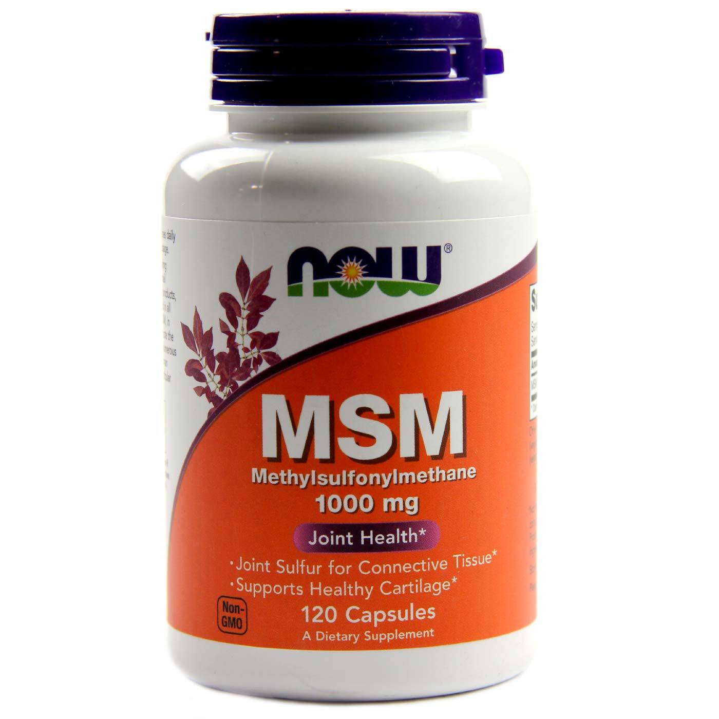 Now Food MSM Supplement