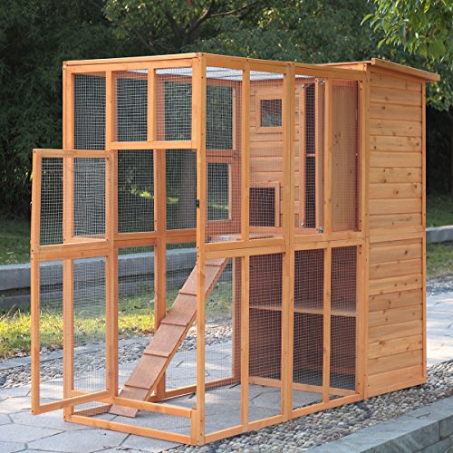 Outdoor enclosure for cats