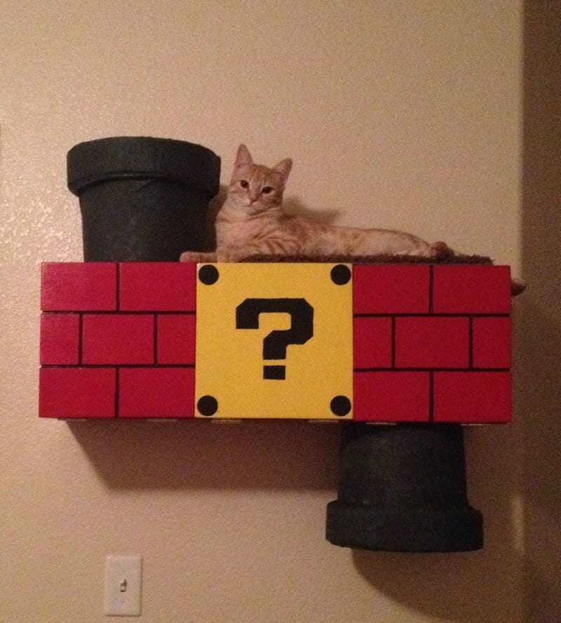 Mario Cat Perch