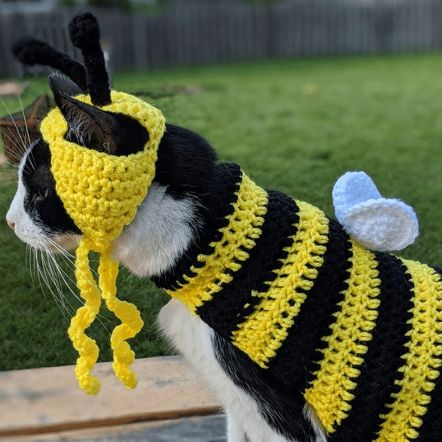 Bumble Bee Cat Costume