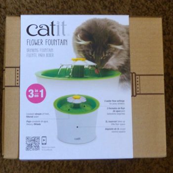 Catit Flower Fountain Review – Purrfect Love