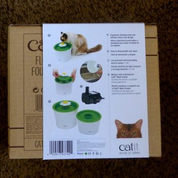 Catit Flower Fountain Review – Purrfect Love