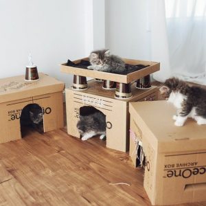 DIY Cardboard Box Homes And Towers For Cats - Purrfect Love